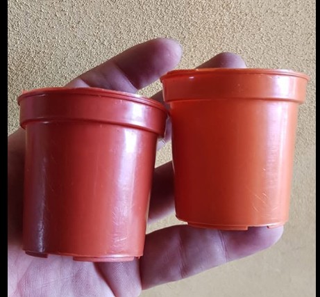 Maceta Nro 6 Económica Plastic MG